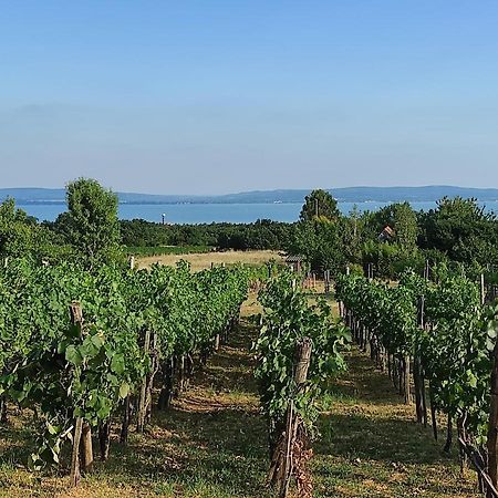 Kishaz A Szolohegyen Apartment Balatonakali Luaran gambar